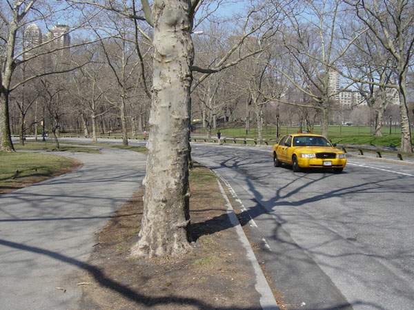 Central Park